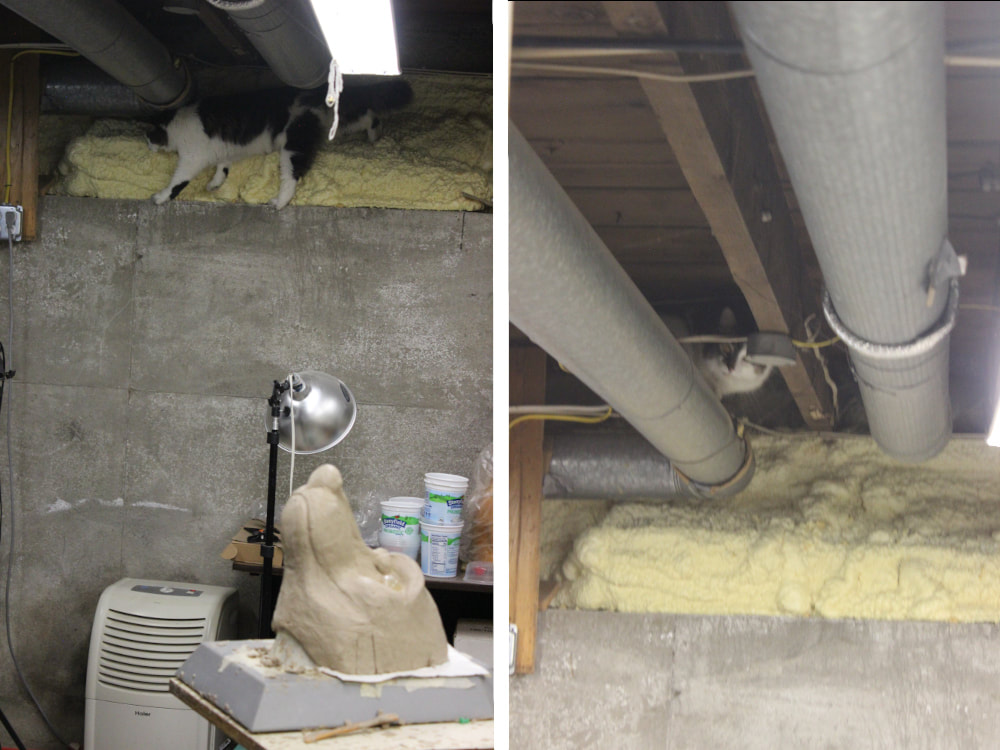 cat in the ductwork of a fursuit costuming studio