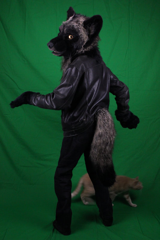 green screen with wolf fursuit partial and cat