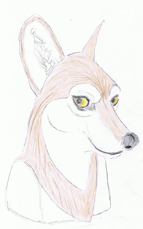 color sketch for fursuit wolf head