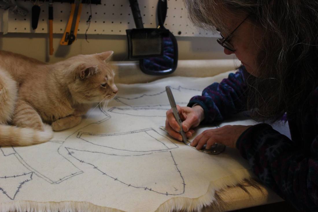 cat watching pattern for fursuit wolf head being laid out on fur