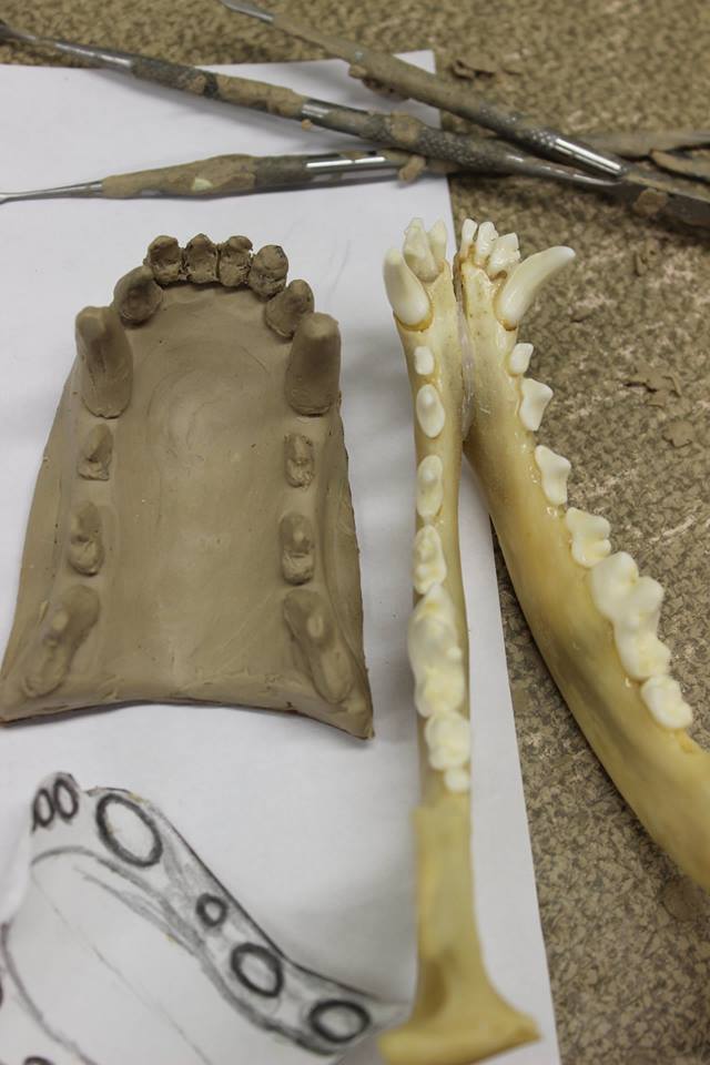 sculpting jawset teeth for resin fursuit wolf head mask