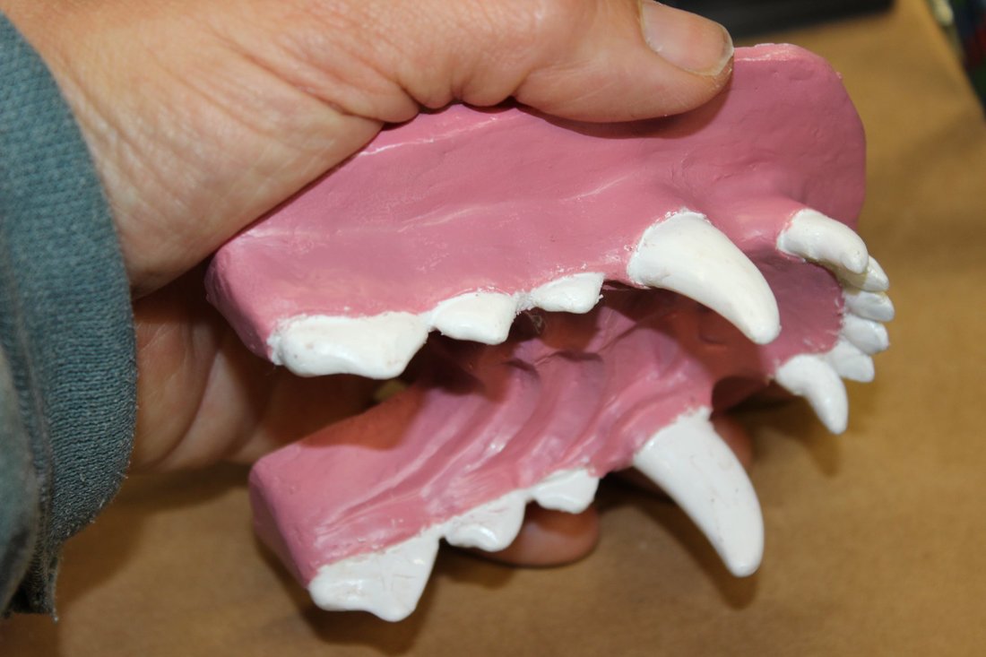 Airbrushed canine resin jawset