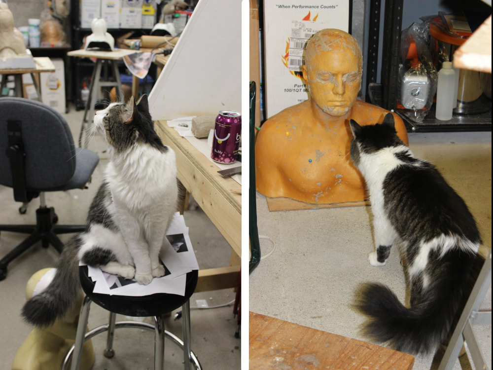 cat in a fursuit making studio