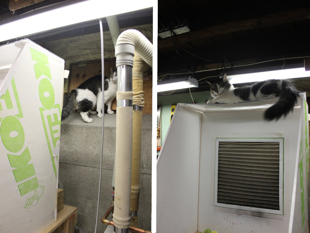 cat on a spraybooth in a fursuit costuming studio
