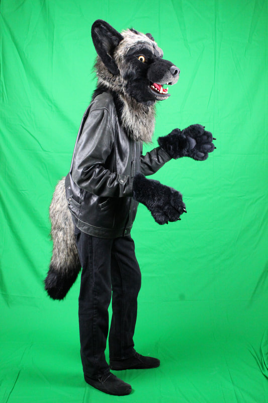 green screen setup with wolf fursuit partial