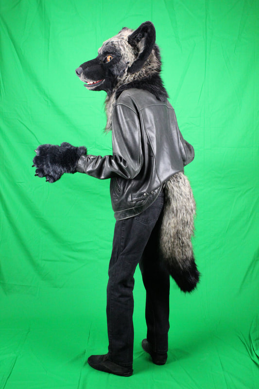 green screen with wolf fursuit partial by sans souci studiosPicture
