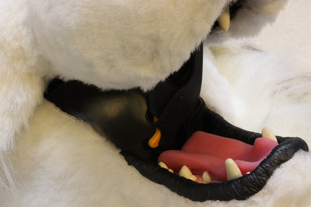 epoxy lips and dreamvision creations jawset and tongue on fursuit wolf head