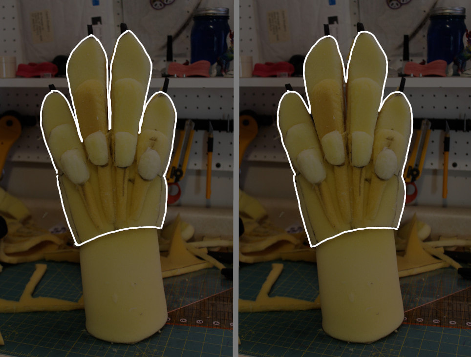 Demonstration of proportions of fingers to back of hand in feral canine handpaw